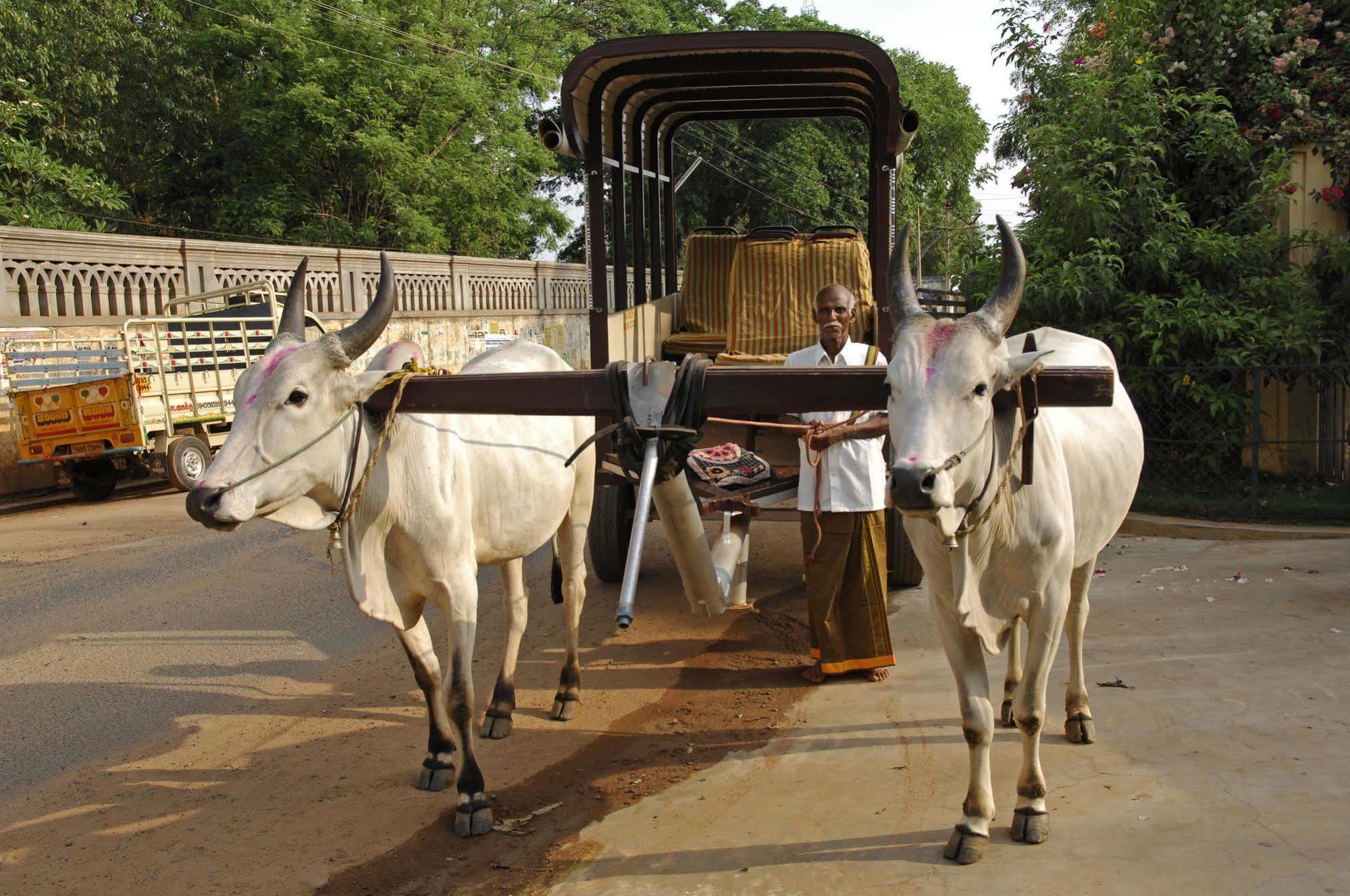 Visalam Chettinad Palace - A Cgh Earth Experience Kanadukattan Ngoại thất bức ảnh